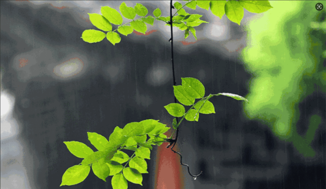 �����ܴ����ڳ���ת��һ����