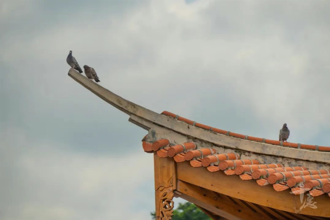 �˵�ʹ�࣬�����Լ�����������