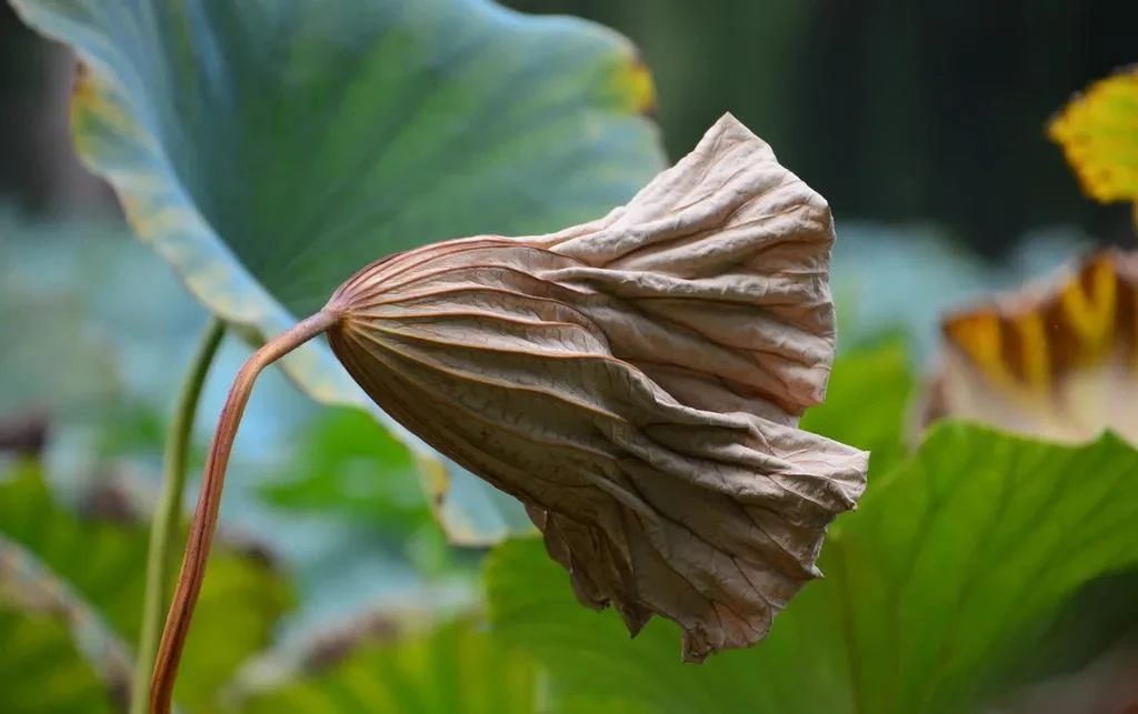 �������յ��������������ǽ��ѵ���û�Ե