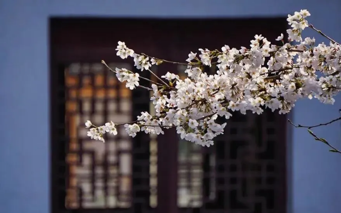 �ù�������û���ɣ�ֻҪһ������