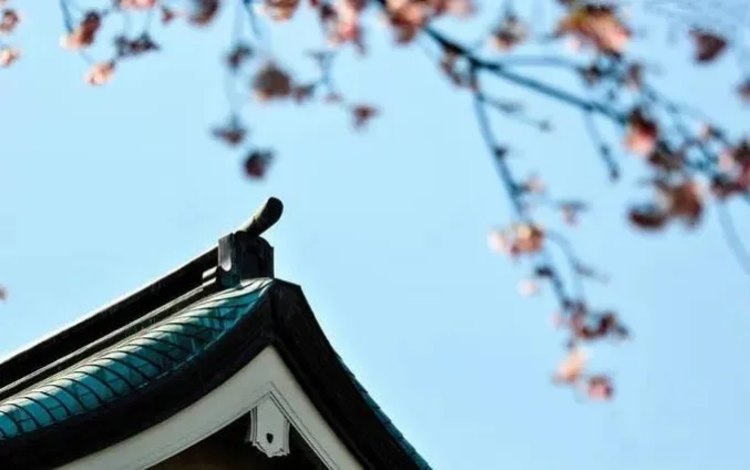 �ù�������û���ɣ�ֻҪһ������