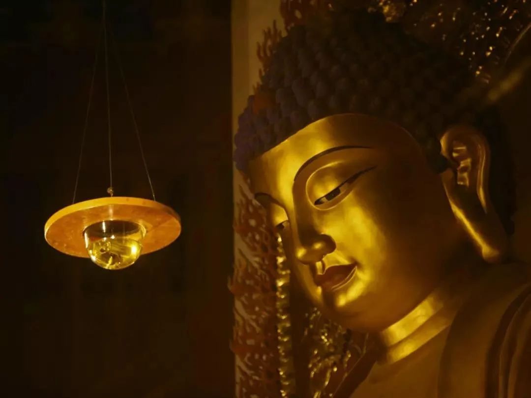 ��������һ��֮��