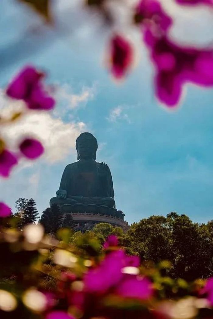 ������̳��������������