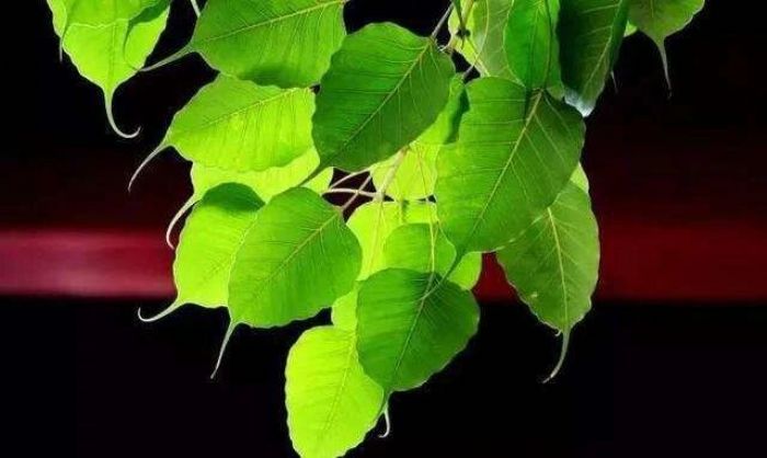 һ������û�����У��Ϳ����ǲ��ǰ�����