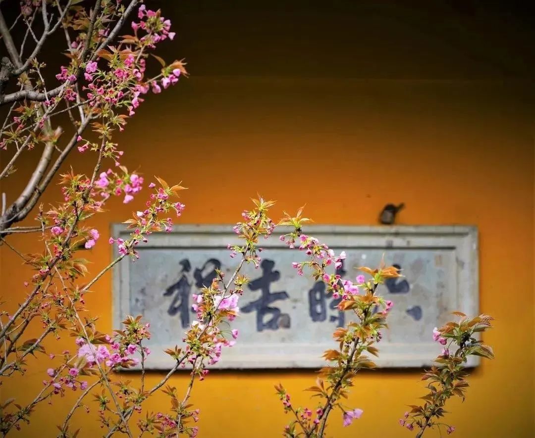 人生是自己的,不是给别人看的 人生是自己的,不是给别人看的