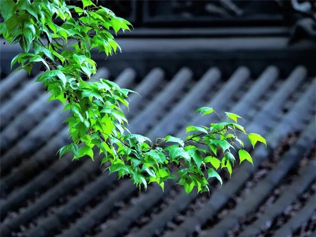 人生是自己的,不是给别人看的 人生是自己的,不是给别人看的