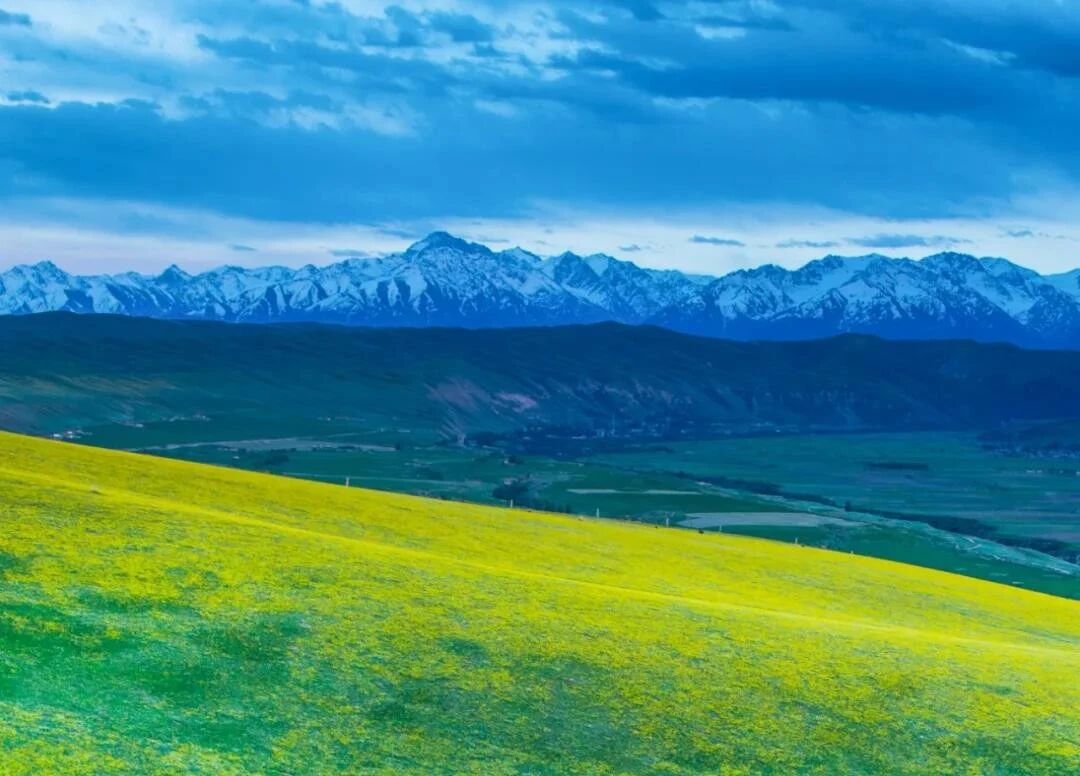 在你没有开悟之前,都是在做梦 在你没有开悟之前,都是在做梦