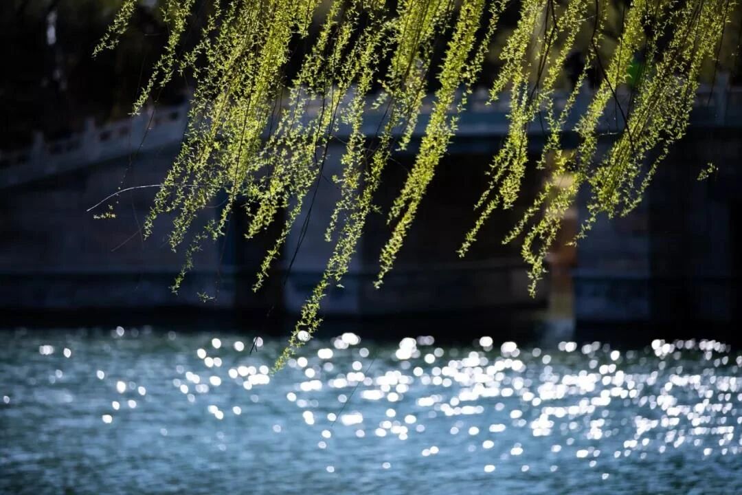 在你没有开悟之前,都是在做梦 在你没有开悟之前,都是在做梦