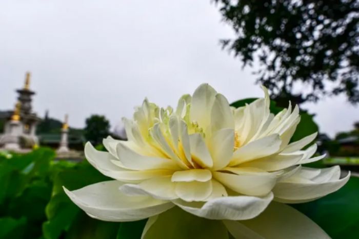 ���е��ص��Ǹı��Լ�����