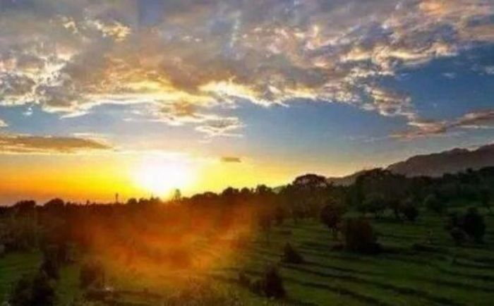 ������ͷ��ֻ�¾��ճ�