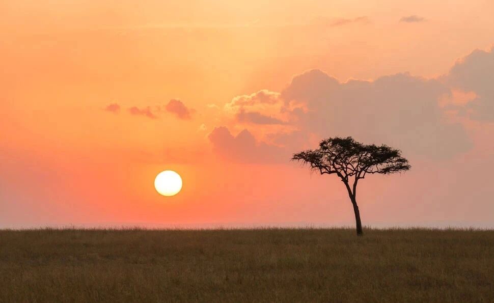 ��˭��˳�ۣ���һ���ǻۣ�����һ������