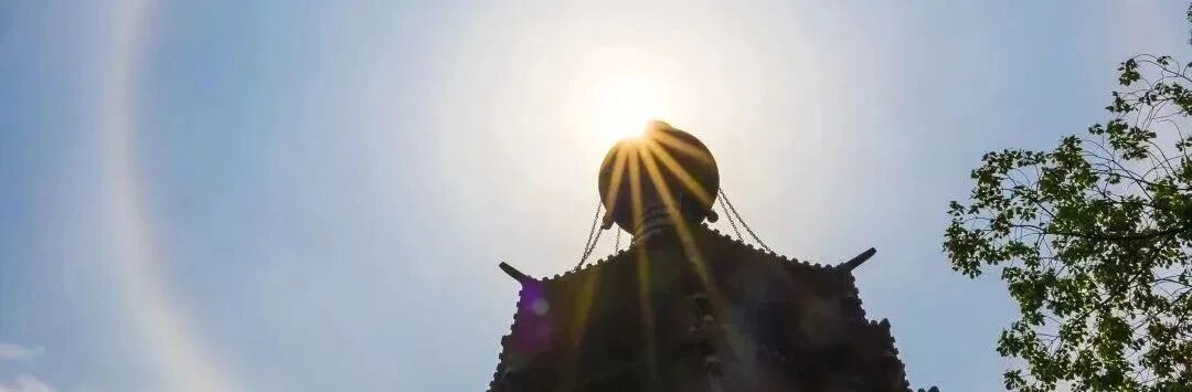 ����ֻ��һ�����Σ����������