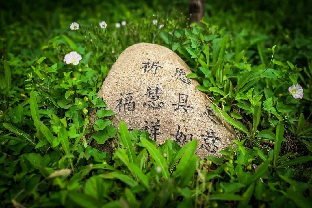 在家学佛,请一定牢记这四句话! 在家学佛,请一定牢记这四句话!