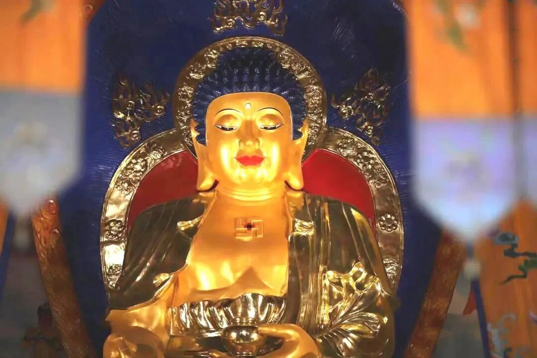 ����������ʮ֮�˾ţ�ʹ���ʱ�����ǵ��׸���ô���أ�