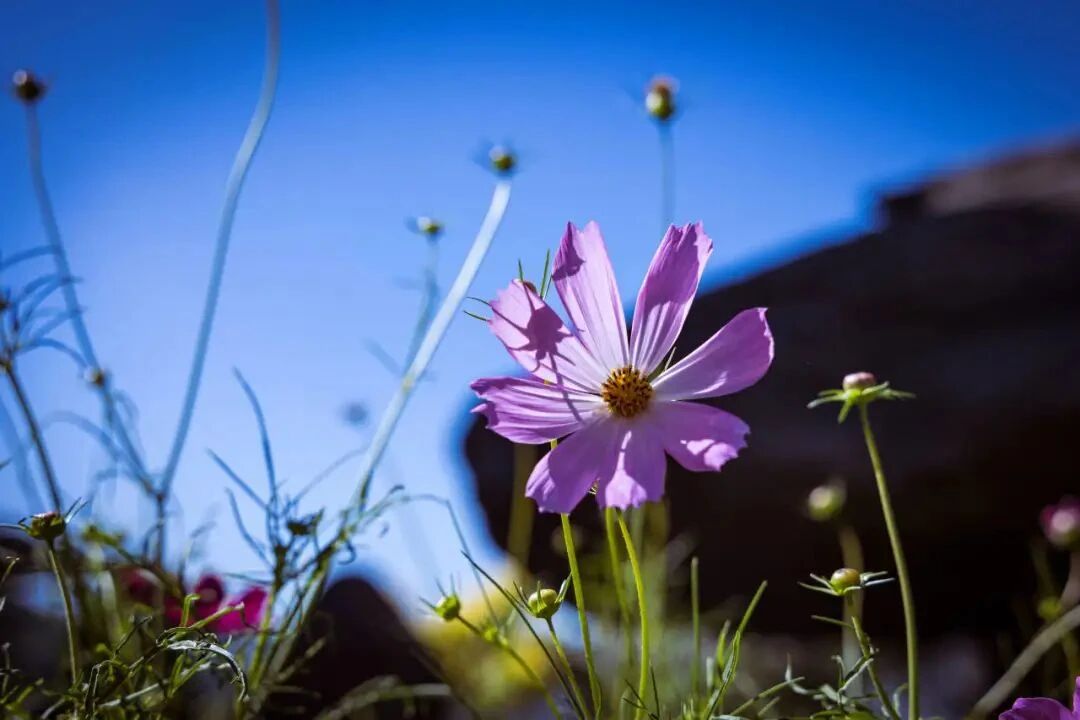 ӡ�ⷨʦ�������Ϲ���Ϊ�����Դȱ�ǫѷΪ��