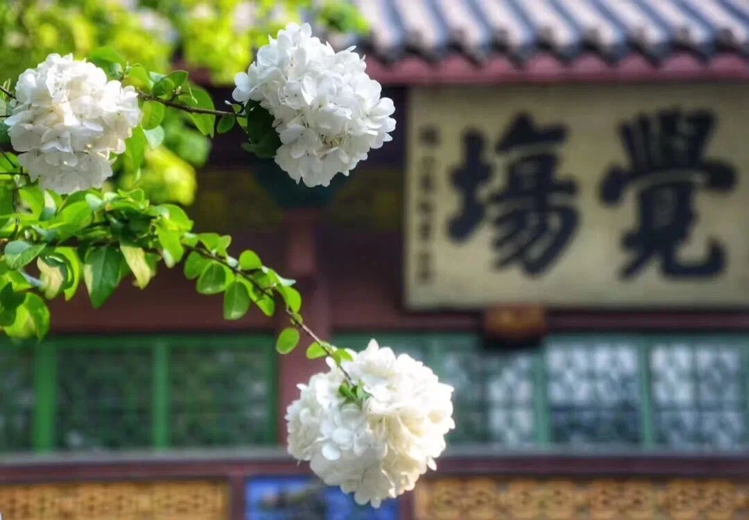 不要让别人,决定你的情绪 不要让别人,决定你的情绪