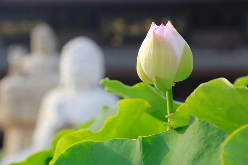 不要让别人,决定你的情绪 不要让别人,决定你的情绪