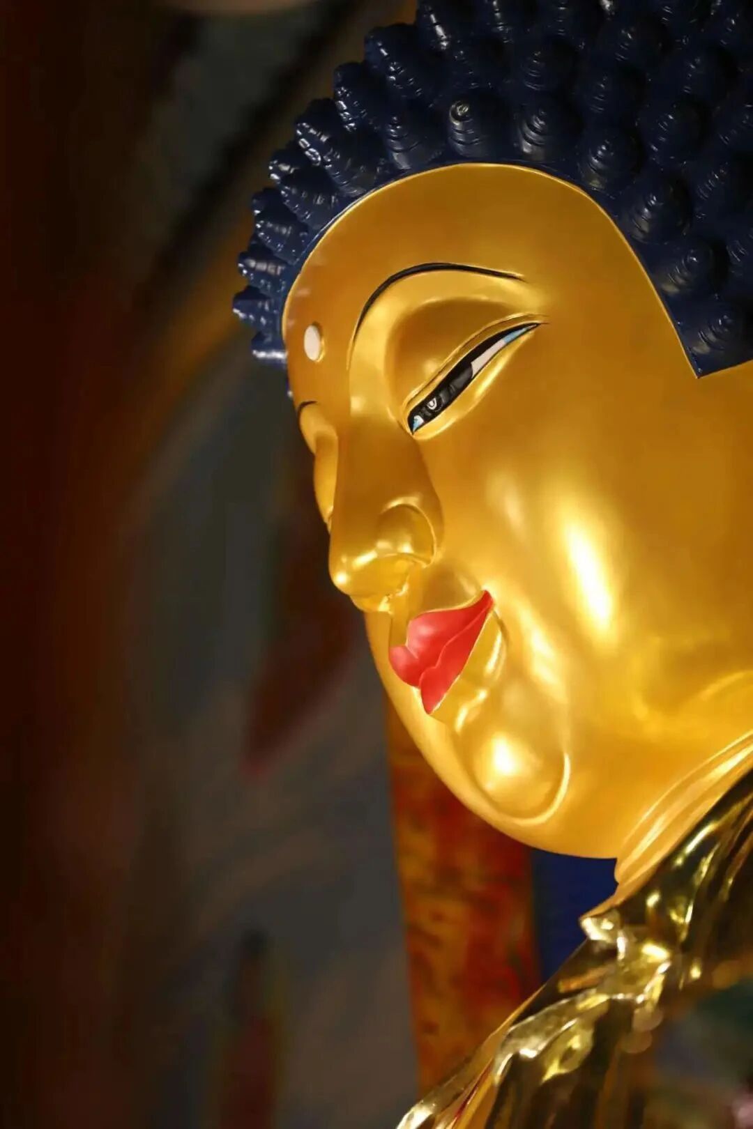 ӡ�ⷨʦ������ţ������ⱦ��