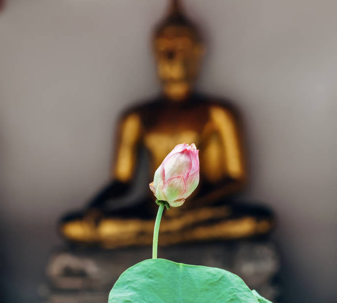 ӡ�ⷨʦ��������ҵ������תҵ��Ω�ڵ�������