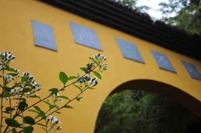 揭秘佛教中“不二”的真实含义 揭秘佛教中“不二”的真实含义