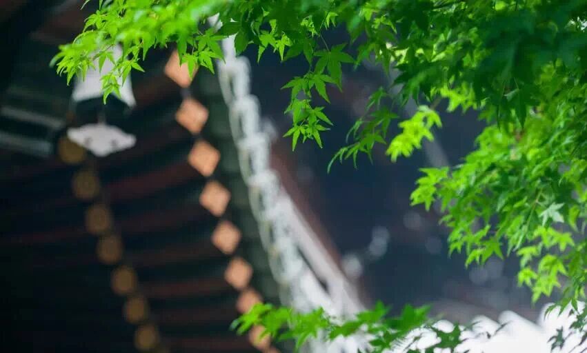 揭秘佛教中“不二”的真实含义 揭秘佛教中“不二”的真实含义