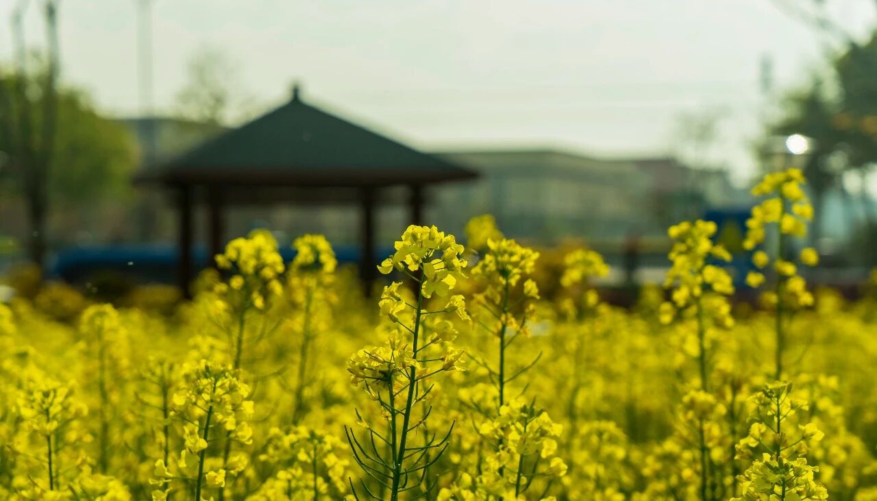 因缘一直在变,切勿傻傻坐等 因缘一直在变,切勿傻傻坐等