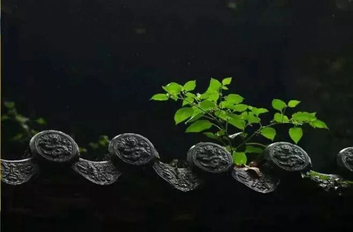 �����κ�ʱ�����Ƕ��л���ı�����