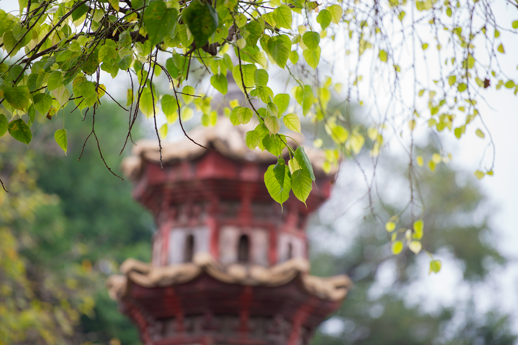 �ڼҾ�ʿ�����������ͥ��