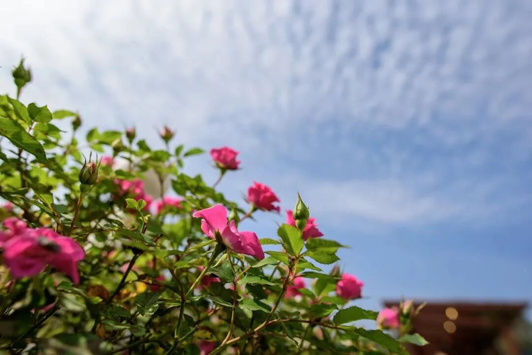 ��������������Σ�������һ��ƽ������