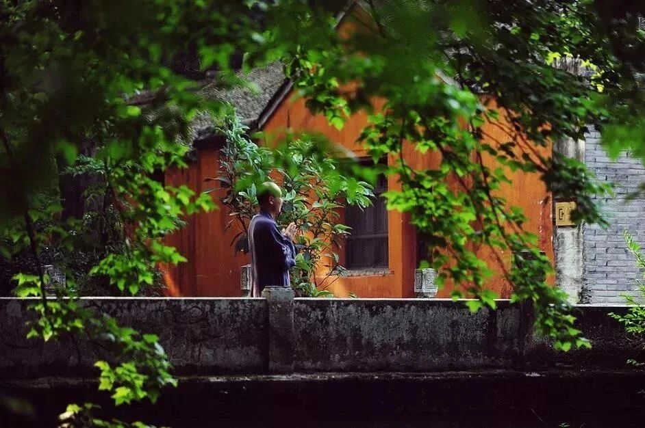 若真修道人,不见世间过 若真修道人,不见世间过