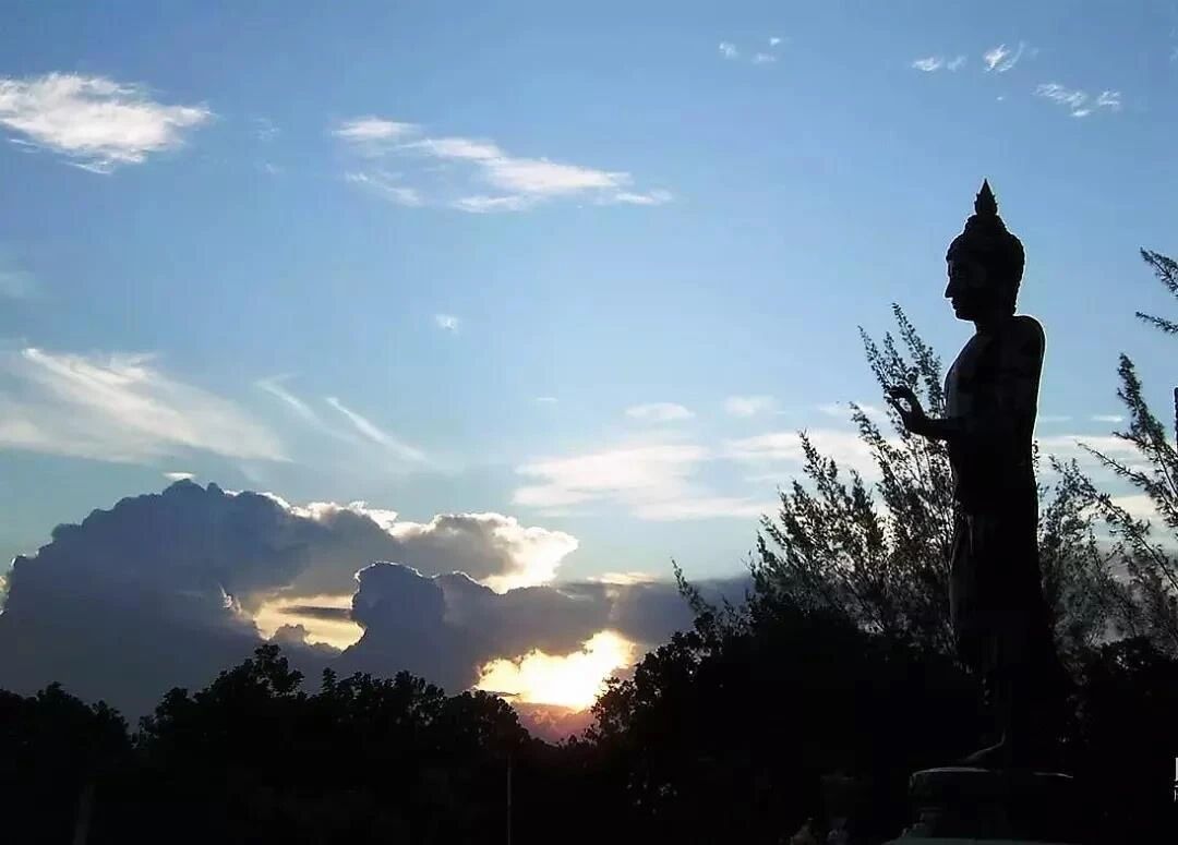 ������Ų��£������������һ�з������