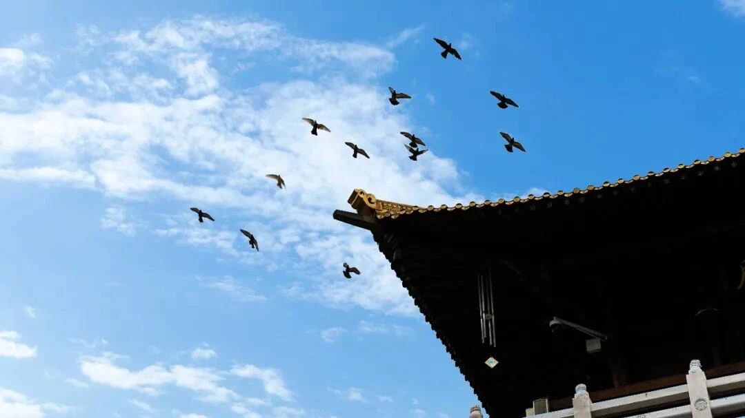 ������Ų��£������������һ�з������