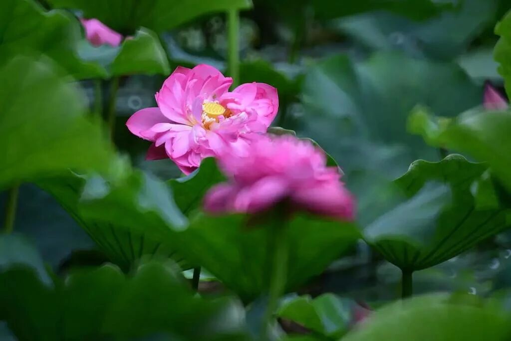 佛弟子最容易“错上加错”的8件事 佛弟子最容易“错上加错”的8件事