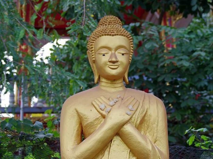 用智慧面对世间的种种荣辱毁誉 用智慧面对世间的种种荣辱毁誉