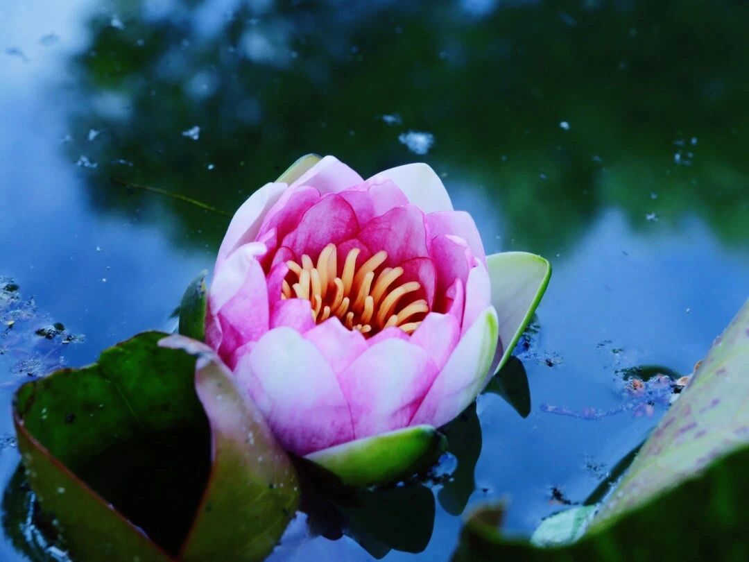 �ھ����ж������ڶ�����ʵ֤