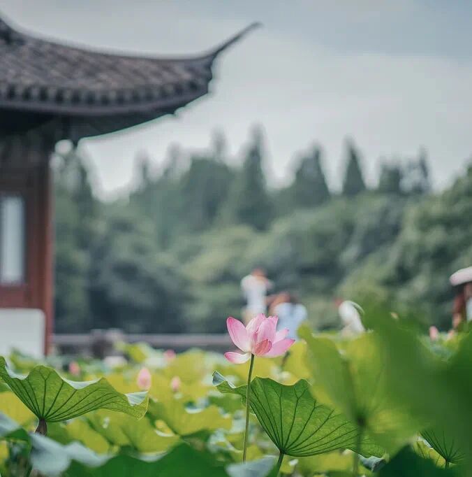 ���������գ����������죬��Ϊ��ֻ�ܻ��ڵ���