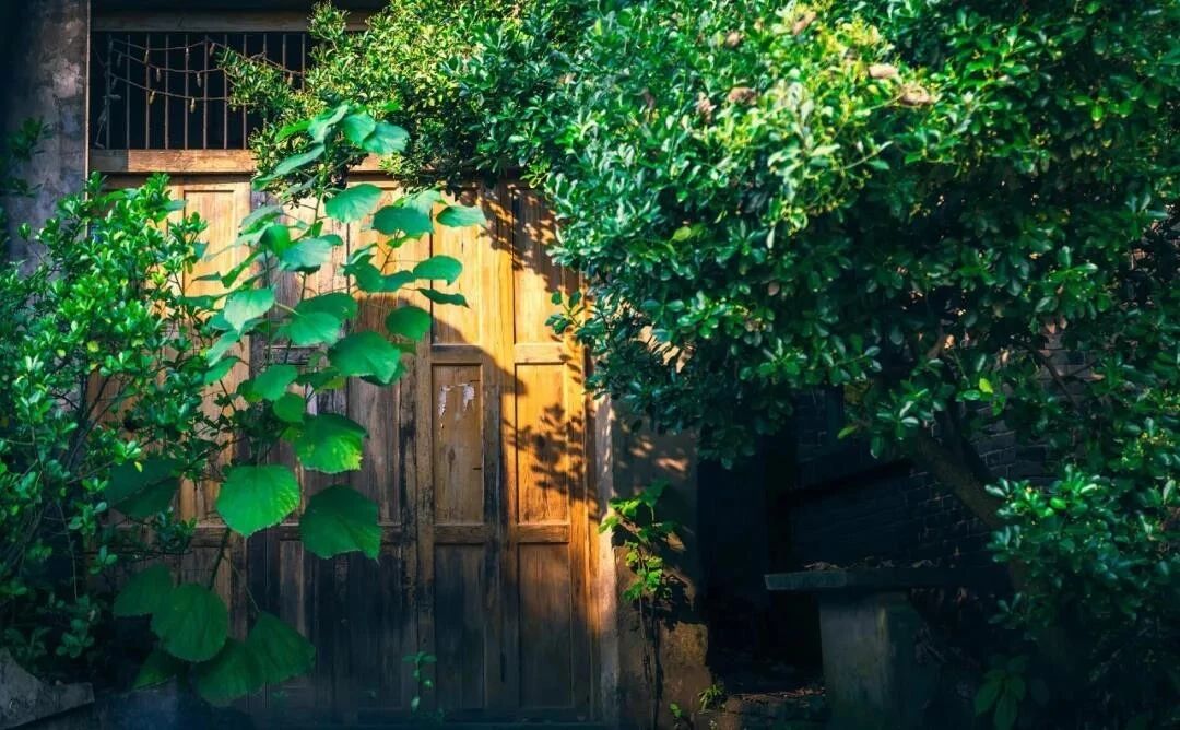 ������ʲô��������