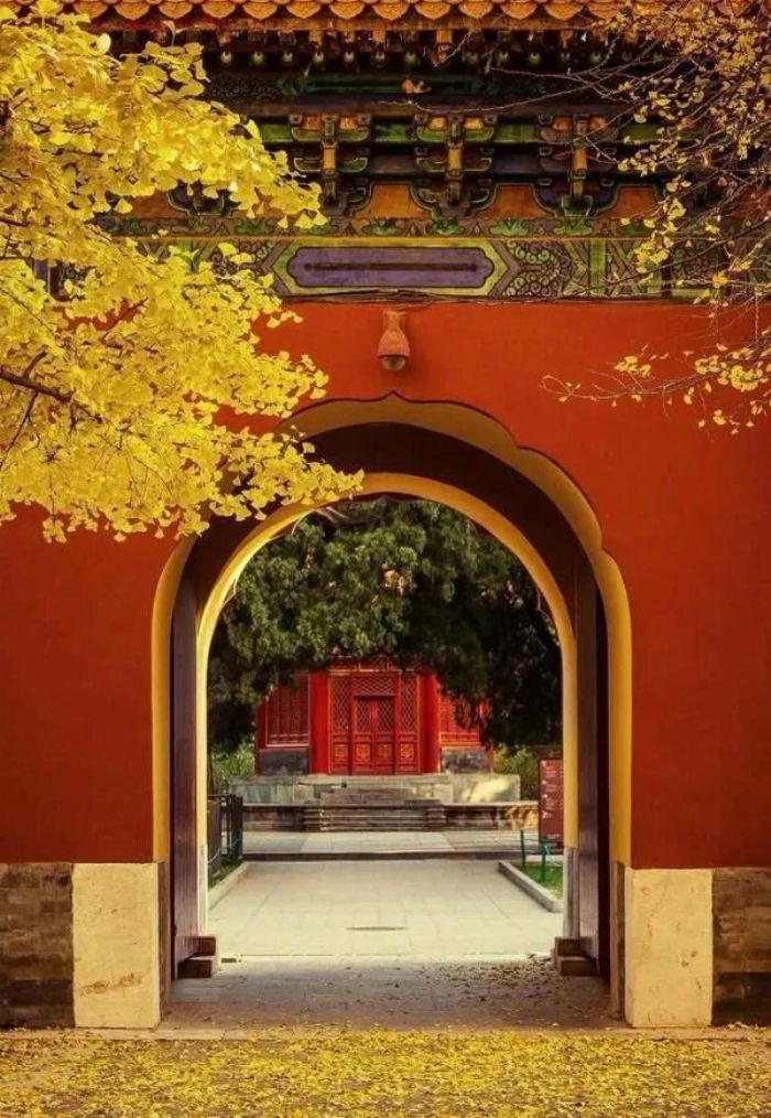 ���Ž����ļ��ԣ��������