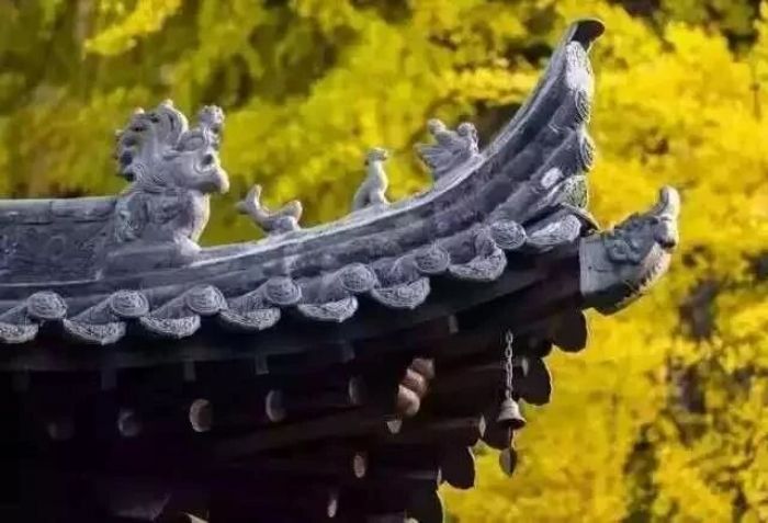 ������Եľ����������������ǵ�����