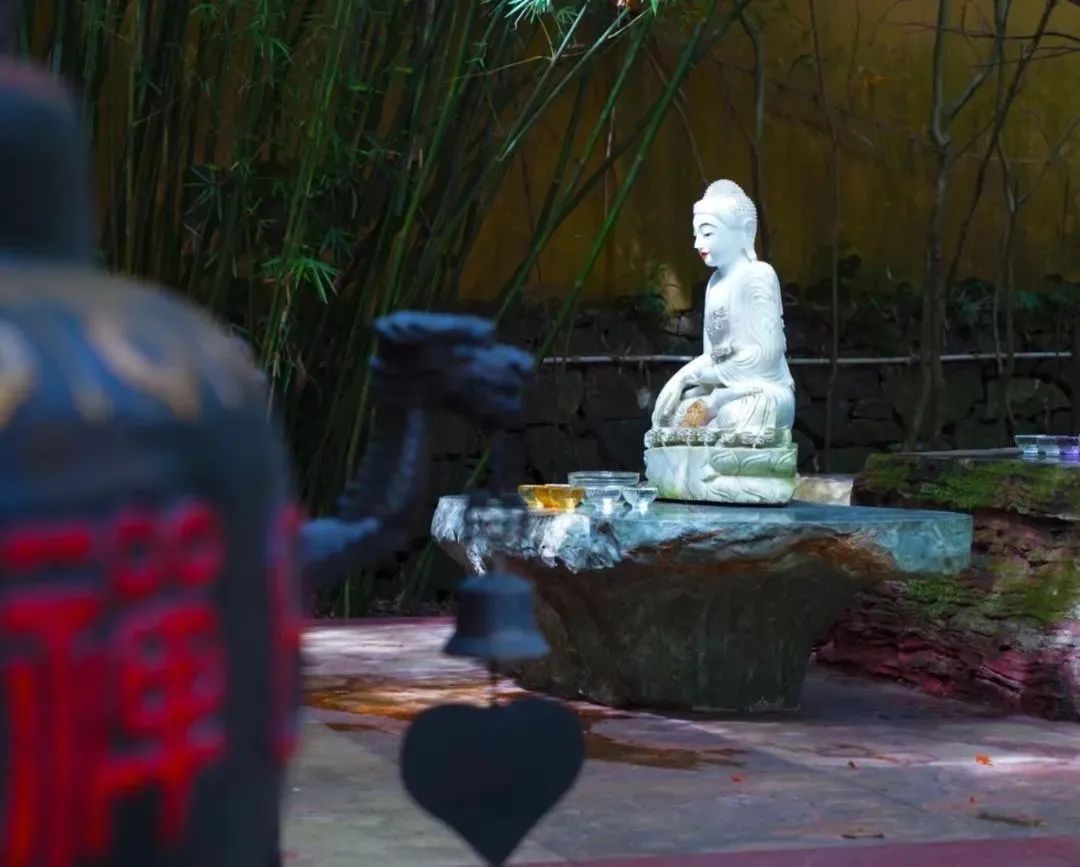 一念通三世,开悟方能知~ 一念通三世,开悟方能知~