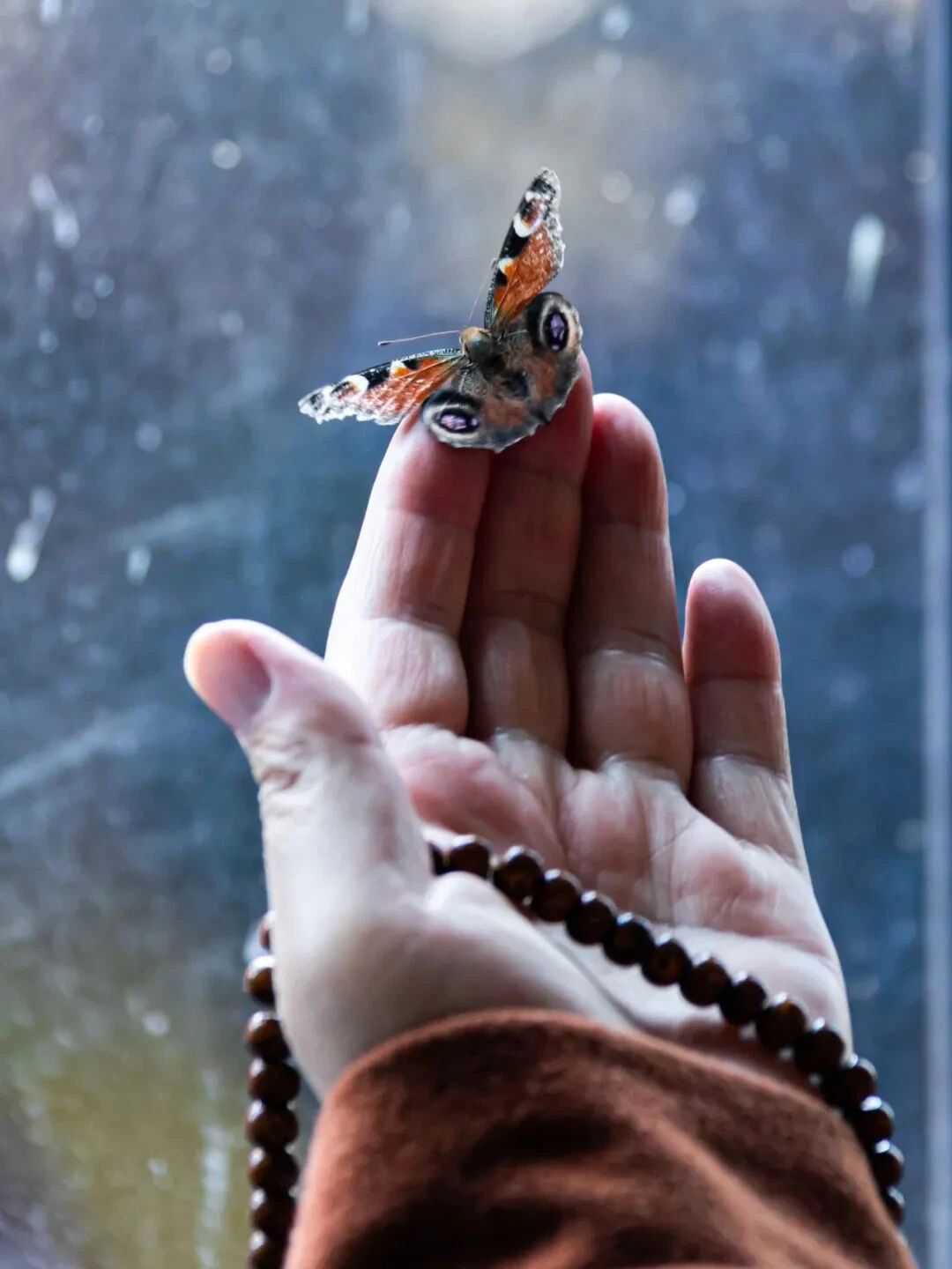 清净心、平等心就是菩萨心 清净心、平等心就是菩萨心