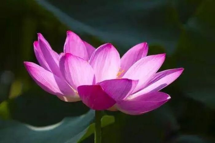 不要让自己迷失在过去或未来 不要让自己迷失在过去或未来