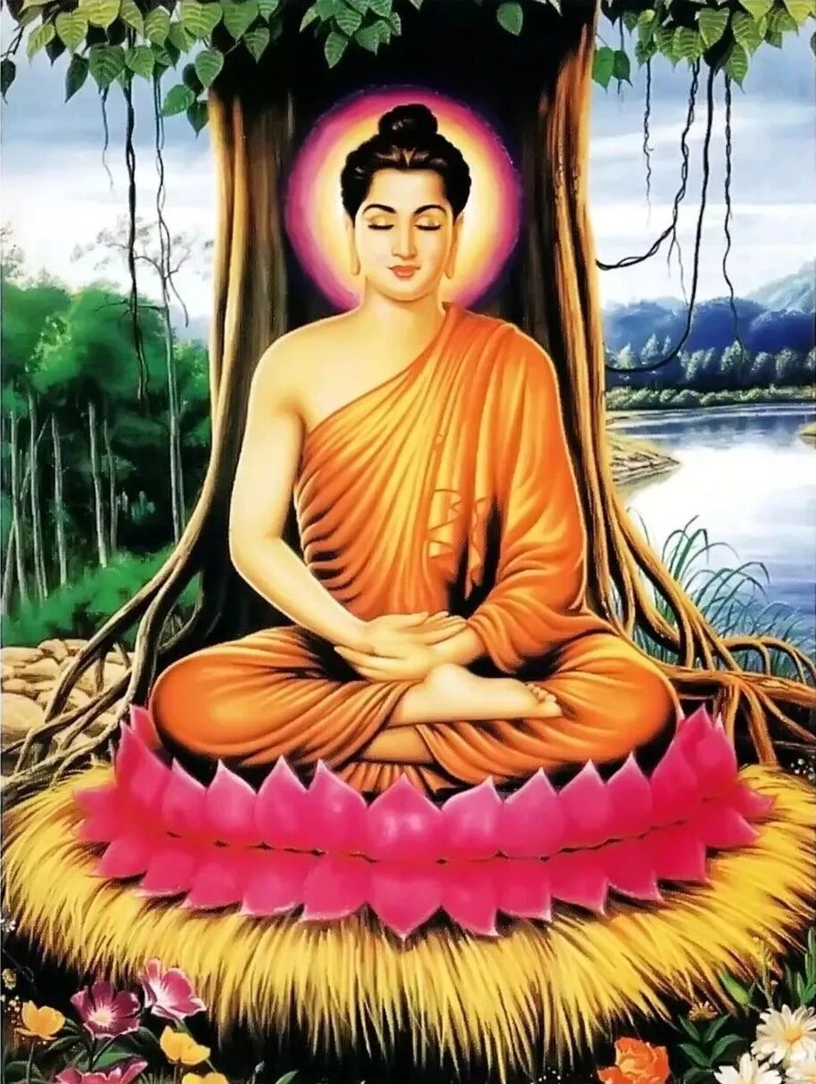 不起烦恼,便是修行 不起烦恼,便是修行