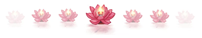 用智慧去学习佛法、实践佛法 用智慧去学习佛法、实践佛法