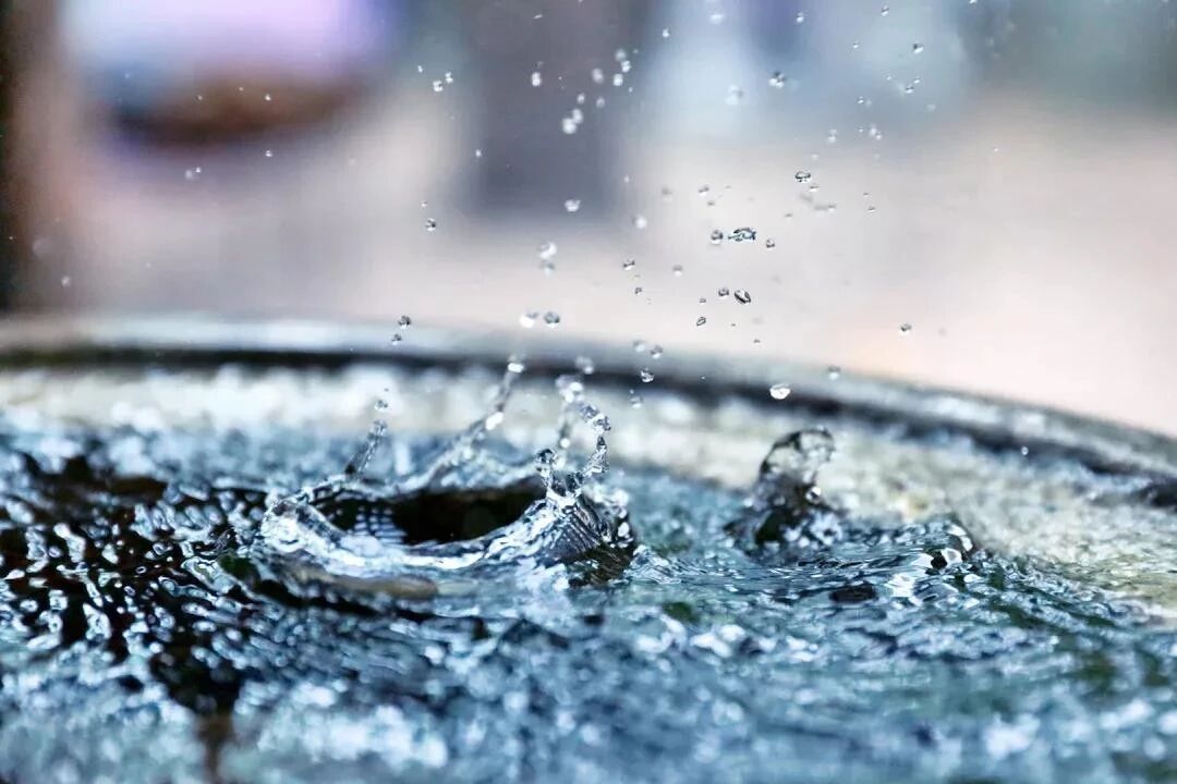 业报取决于这五个因素 业报取决于这五个因素