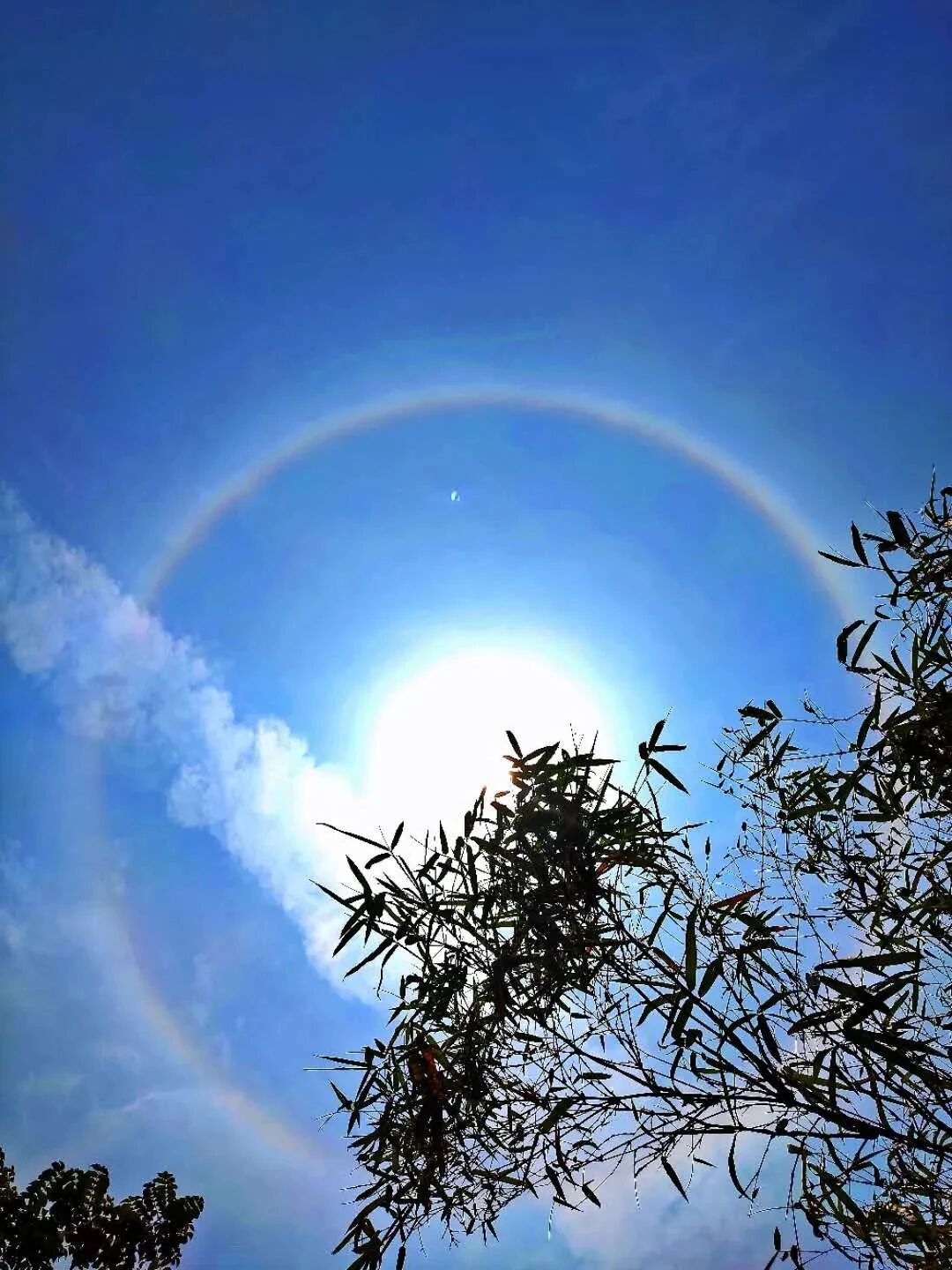 印光法师:果知此理,则上不怨天,下不尤人 印光法师:果知此理,则上不怨天,下不尤人