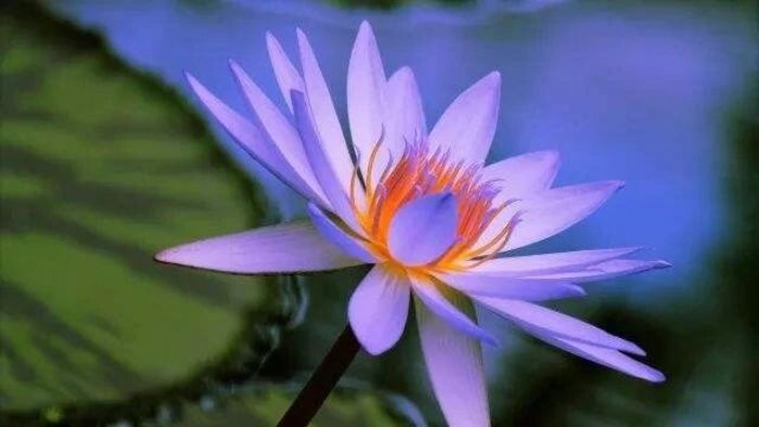 修行是每一刻的事,觉悟是每一刻的事 修行是每一刻的事,觉悟是每一刻的事