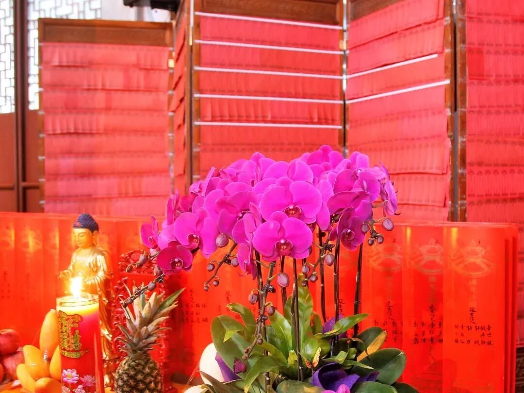 你没有听错:勉强也会有好的果报 你没有听错:勉强也会有好的果报