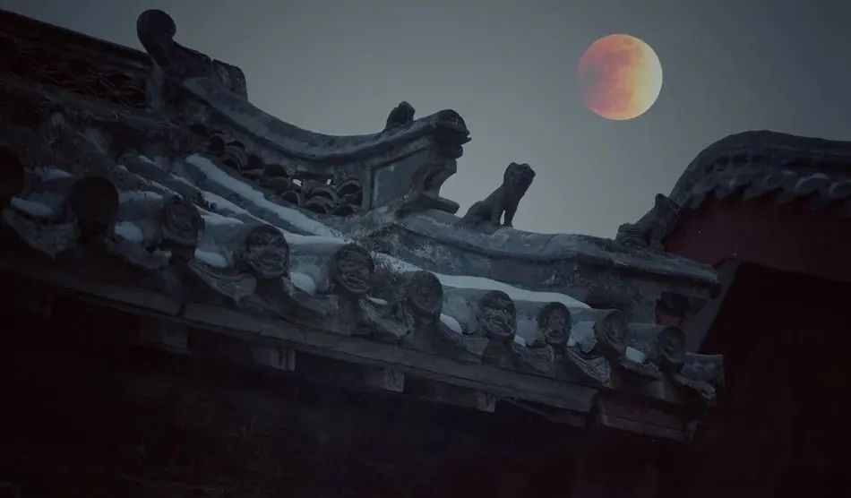 沉下心来,做一名真正的禅者 沉下心来,做一名真正的禅者