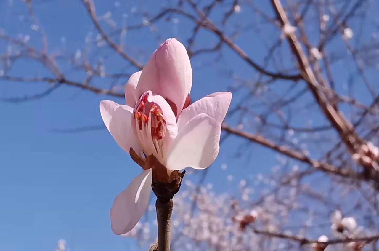 沉下心来,做一名真正的禅者 沉下心来,做一名真正的禅者